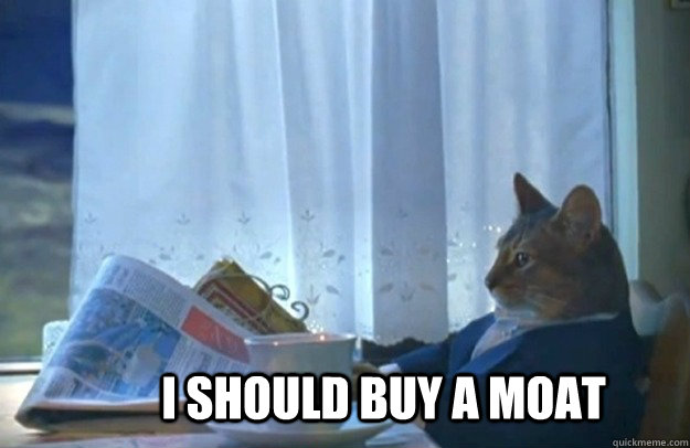 i should buy a moat  Sophisticated Cat