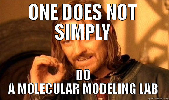 ONE DOES NOT SIMPLY DO A MOLECULAR MODELING LAB One Does Not Simply