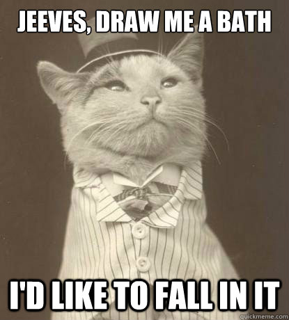 Jeeves, draw me a bath I'd like to fall in it - Jeeves, draw me a bath I'd like to fall in it  Aristocat