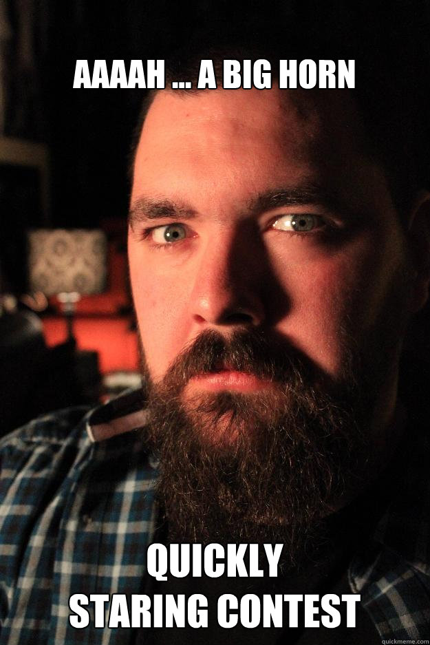 Aaaah ... A big horn Quickly
staring contest  Dating Site Murderer