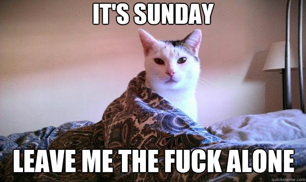 It's sunday Leave me the fuck Alone - It's sunday Leave me the fuck Alone  Sleepy cat