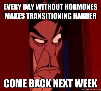 Every Day without hormones makes transitioning harder Come back next week - Every Day without hormones makes transitioning harder Come back next week  Gatekeeper Jafar