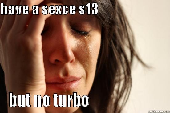 HAVE A SEXCE S13                              BUT NO TURBO                          First World Problems