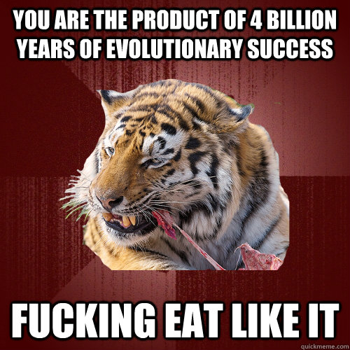 You are the product of 4 billion years of evolutionary success  Fucking Eat like it   Keto Tiger