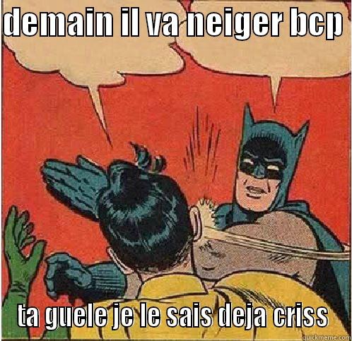 questions stupides - DEMAIN IL VA NEIGER BCP  TA GUELE JE LE SAIS DEJA CRISS Batman Slapping Robin