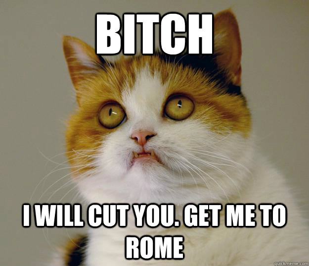 Bitch I will cut you. Get me to ROME  Anger Management Cat