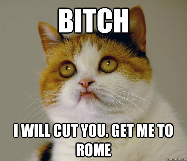 Bitch I will cut you. Get me to ROME - Bitch I will cut you. Get me to ROME  Anger Management Cat