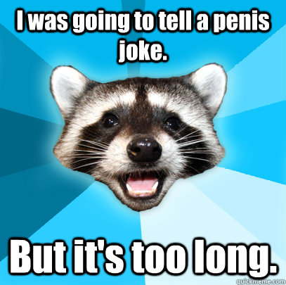 I was going to tell a penis joke. But it's too long.  Lame Pun Coon