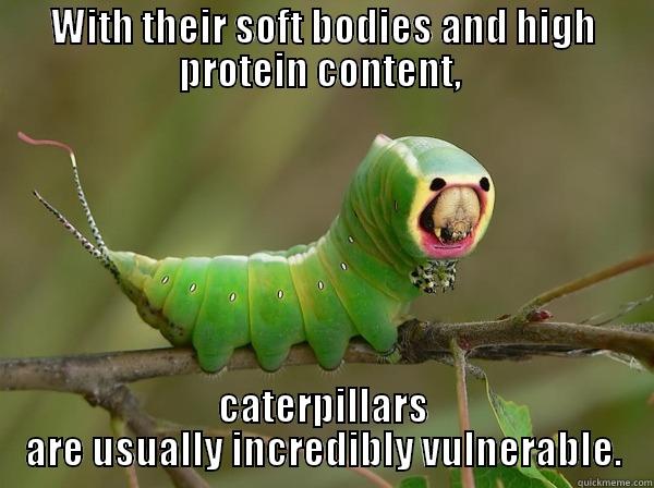 WITH THEIR SOFT BODIES AND HIGH PROTEIN CONTENT,  CATERPILLARS ARE USUALLY INCREDIBLY VULNERABLE. Misc