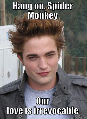 HANG ON, SPIDER MONKEY OUR LOVE IS IRREVOCABLE Misc
