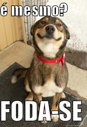 É MESMO?         FODA-SE Good Dog Greg