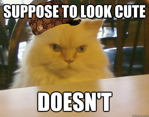 suppose to look cute doesn't  Scumbag Cat