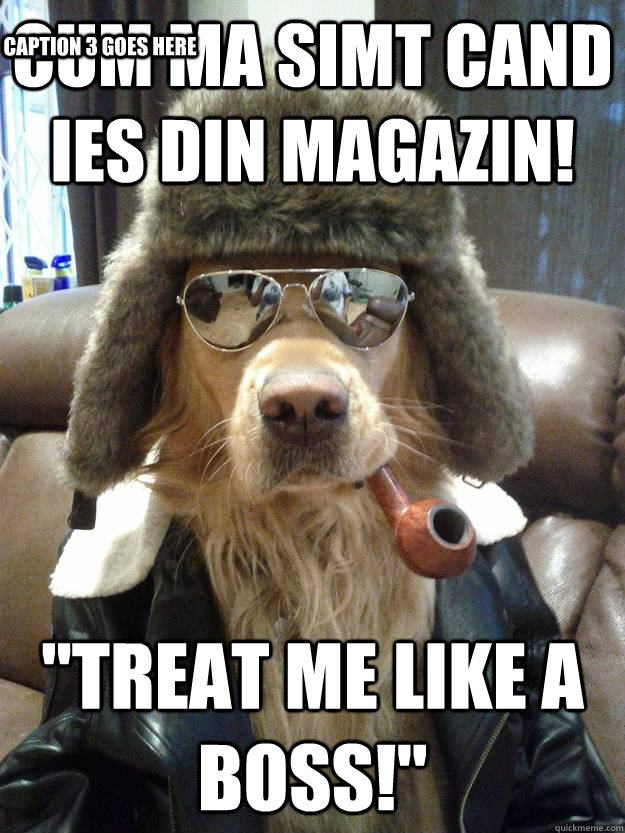 Cum ma simt cand ies din magazin! ''Treat me like a boss!