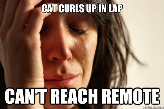 Cat curls up in lap Can't reach remote  First World Problems