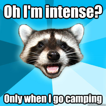 Oh I'm intense? Only when I go camping  Lame Pun Coon