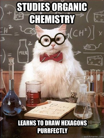Studies Organic Chemistry Learns to draw hexagons purrfectly  Chemistry Cat
