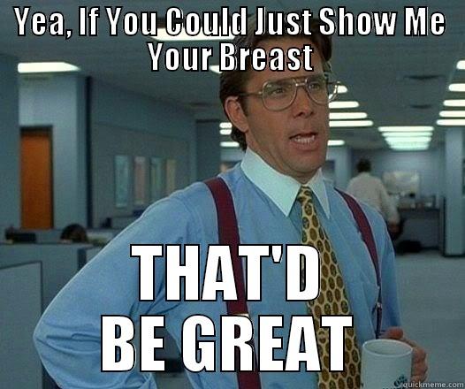 YEA, IF YOU COULD JUST SHOW ME YOUR BREAST THAT'D BE GREAT Office Space Lumbergh