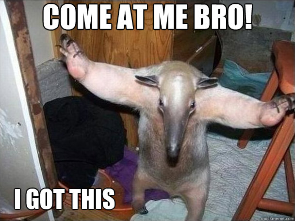 Come at me Bro! i got this  I got this