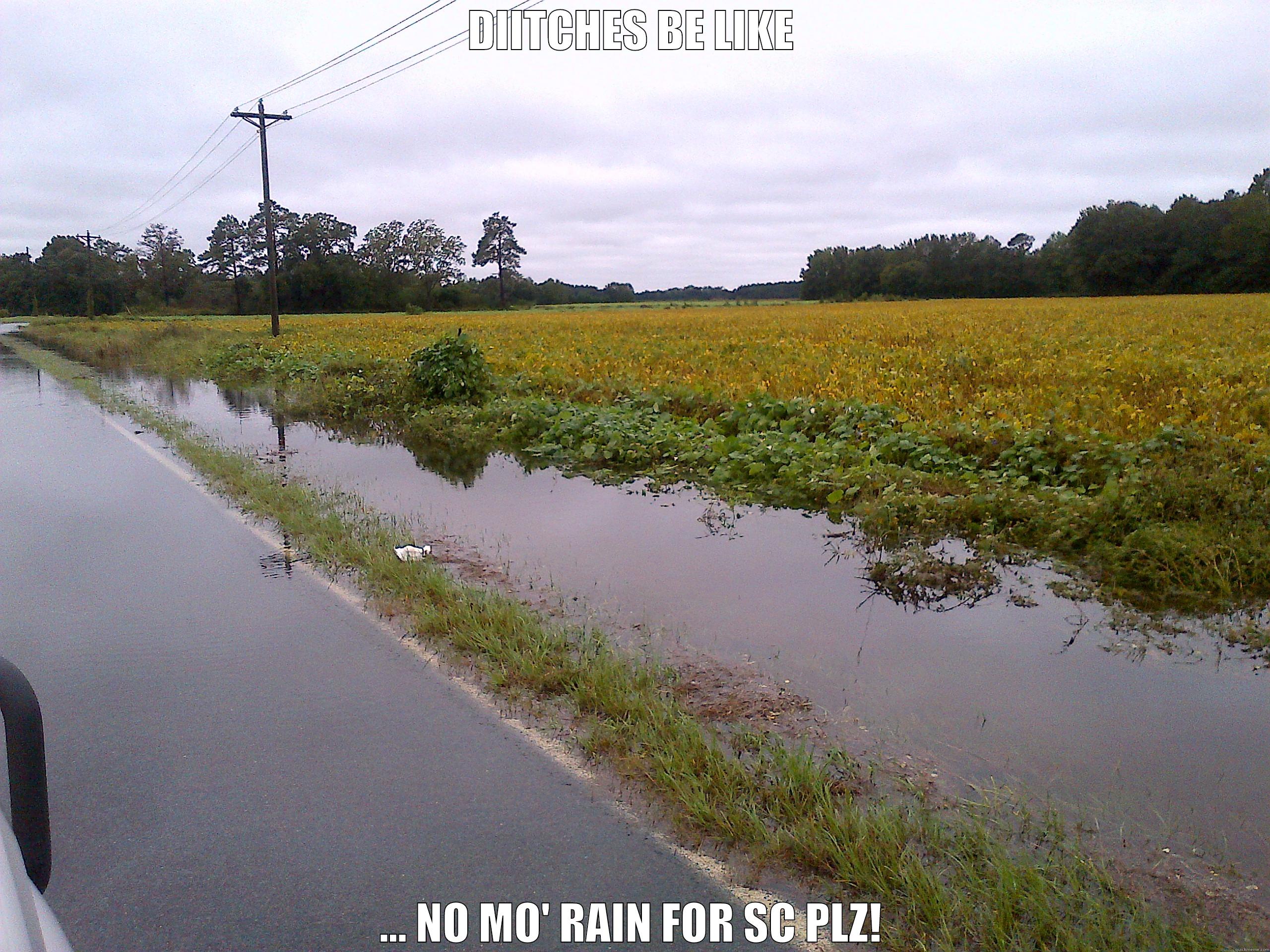 DIITCHES BE LIKE ... NO MO' RAIN FOR SC PLZ! Misc