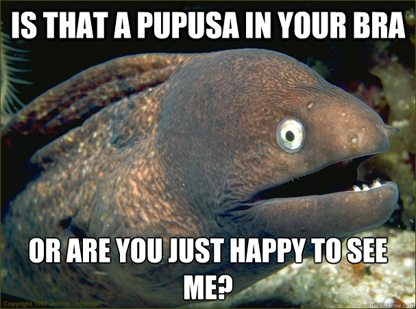 Is that a pupusa in your bra or are you just happy to see me?  Bad Joke Eel