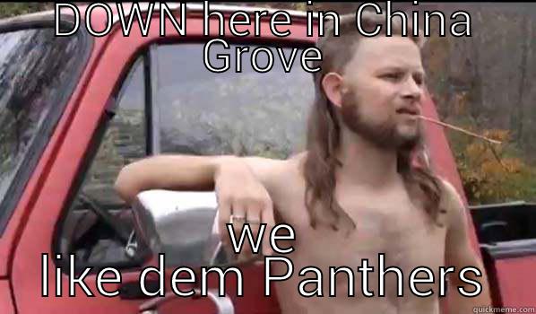 Panthers fan - DOWN HERE IN CHINA GROVE WE LIKE DEM PANTHERS Almost Politically Correct Redneck