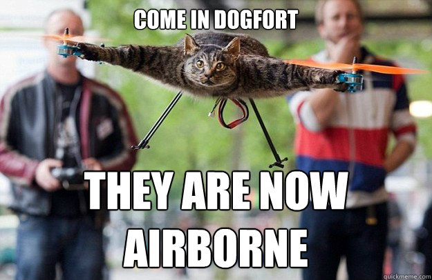 Come in dogfort they are now airborne  