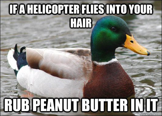 if a helicopter flies into your hair rub peanut butter in it - if a helicopter flies into your hair rub peanut butter in it  Actual Advice Mallard