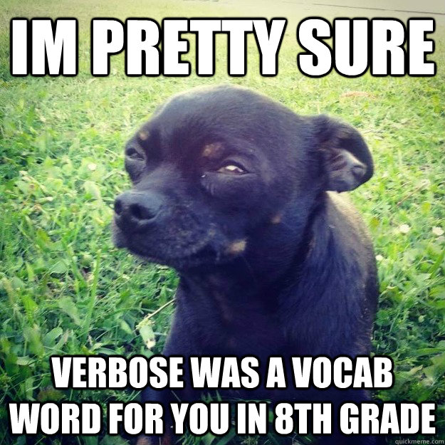 IM PRETTY SURE verbose was a vocab word for you in 8th grade  Skeptical Dog