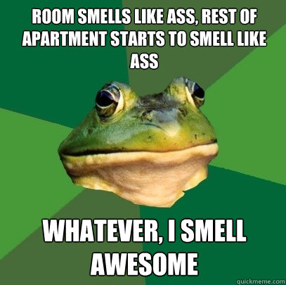 Room smells like ass, rest of apartment starts to smell like ass whatever, i smell awesome  Foul Bachelor Frog