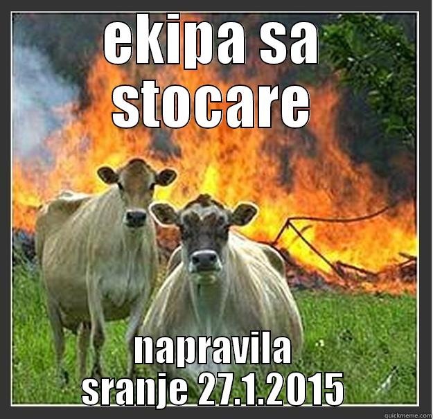 EKIPA SA STOCARE NAPRAVILA SRANJE 27.1.2015 Evil cows