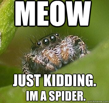 meow just kidding. im a spider.  Misunderstood Spider