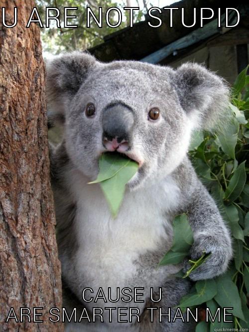 U ARE NOT STUPID  CAUSE U ARE SMARTER THAN ME  koala bear