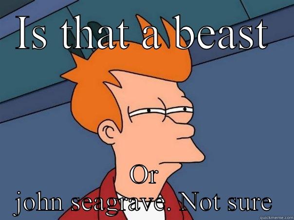 IS THAT A BEAST OR JOHN SEAGRAVE. NOT SURE Futurama Fry