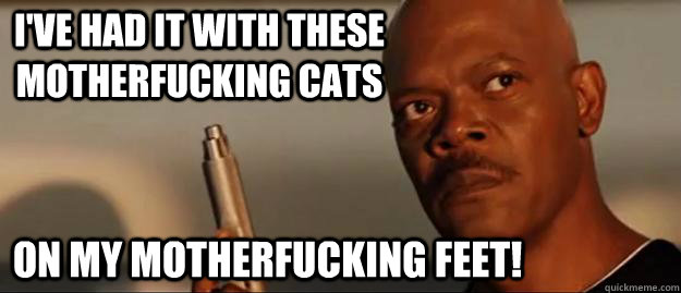 I've had it with these motherfucking cats on my motherfucking feet!  Snakes on a Plane Sammy Jackson