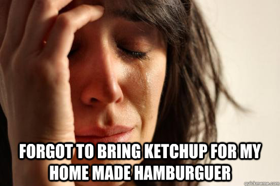  Forgot to bring ketchup for my home made hamburguer  First World Problems