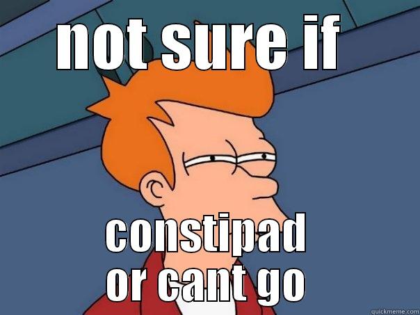 NOT SURE IF  CONSTIPAD OR CANT GO Futurama Fry
