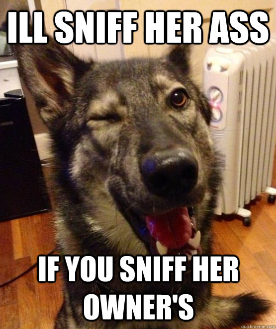 ill sniff her ass If you sniff her owner's  Pickup Pup