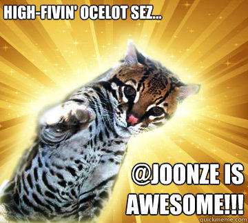 High-fivin' ocelot sez... @joonze is awesome!!!
  