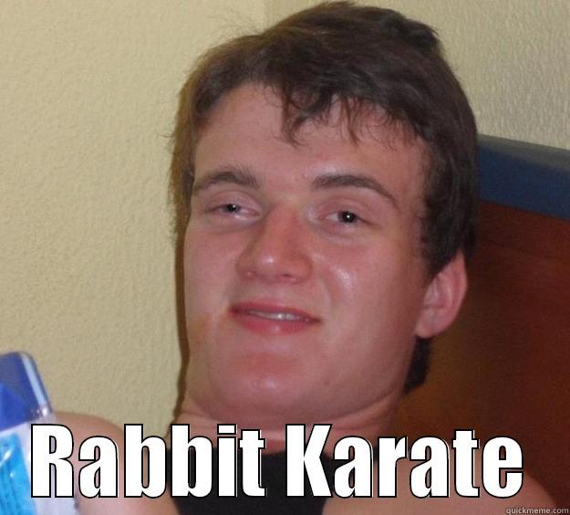  RABBIT KARATE 10 Guy
