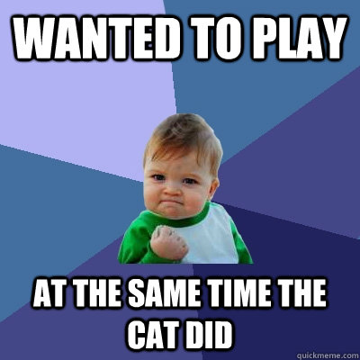 wanted to play At the same time the cat did  Success Kid
