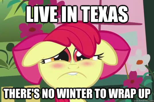 Live in texas There's no winter to wrap up - Live in texas There's no winter to wrap up  Sad Pony