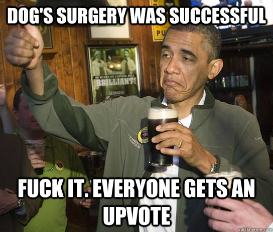 Dog's surgery was successful Fuck it. Everyone gets an upvote  