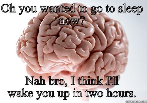 OH YOU WANTED TO GO TO SLEEP NOW? NAH BRO, I THINK I'LL WAKE YOU UP IN TWO HOURS. Scumbag Brain