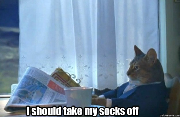 I should take my socks off - I should take my socks off  Sophisticated Cat is broke