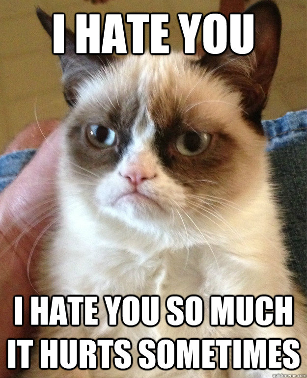 i hate you  i hate you so much it hurts sometimes  Grumpy Cat