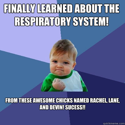 Finally Learned About The Respiratory System!  From these awesome chicks named Rachel, Lane, and Devin! sucess!! - Finally Learned About The Respiratory System!  From these awesome chicks named Rachel, Lane, and Devin! sucess!!  Success Kid