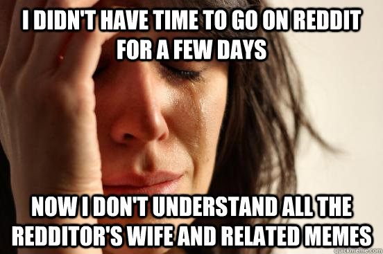 I didn't have time to go on reddit for a few days Now I don't understand all the redditor's wife and related memes   First World Problems