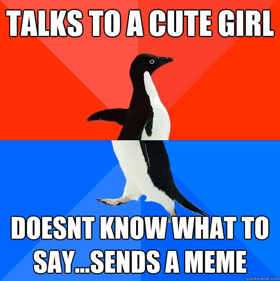 talks to a cute girl doesnt know what to say...sends a meme  Socially Awesome Awkward Penguin