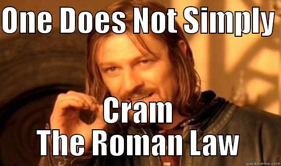 ONE DOES NOT SIMPLY  CRAM THE ROMAN LAW Boromir