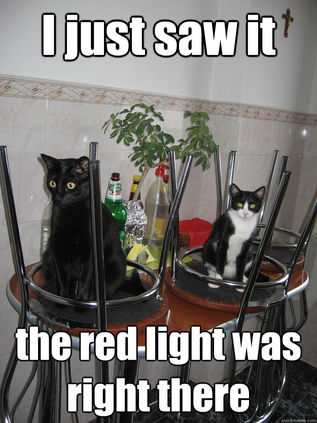 I just saw it the red light was right there - I just saw it the red light was right there  confused cat
